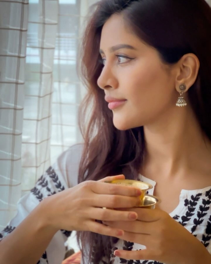 Nabha Natesh Shares Adorable Birthday Celebration Photos Nabha Natesh Shares Adorable Birthday Celebration Photos