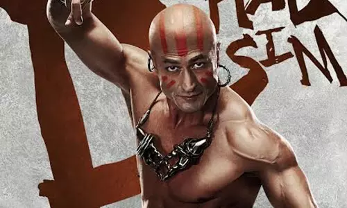 హాలీవుడ్ లోకి మరో బాలీవుడ్ స్టార్.. సరైన పాత్ర దక్కినట్లు ఉందే!