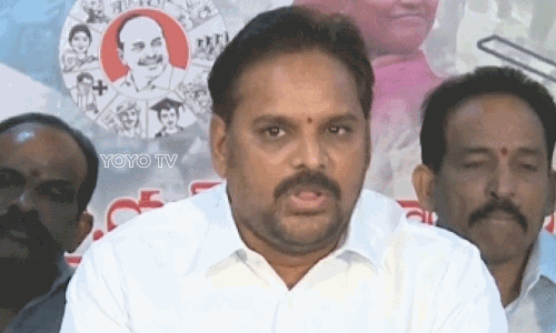 బొత్స మేనల్లుడికి ఢిల్లీ దారిట ?