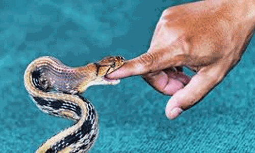 ‘విషం’ లెక్క తేల్చే కిట్ వచ్చేసింది.. ఎవరు తయారు చేశారంటే?