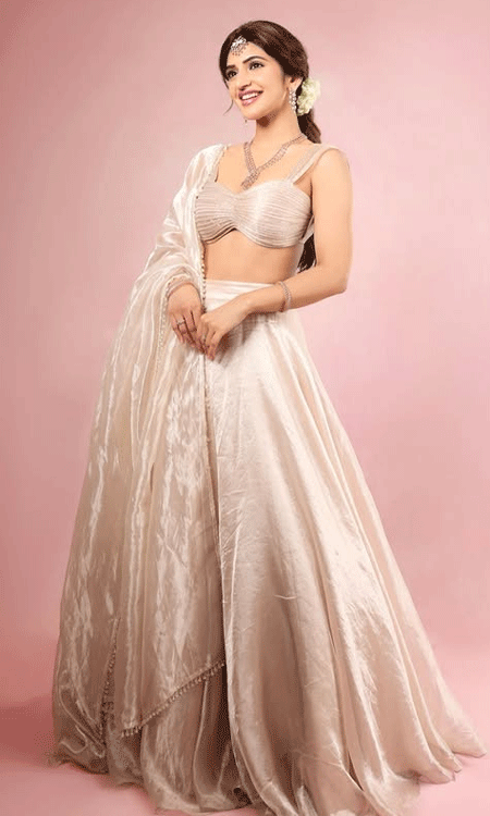 Sree Leela’s Ethereal Elegance Steals the Spotlight
