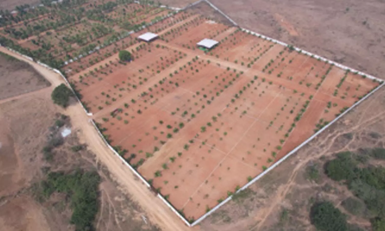 రియల్ కు హాట్ స్పాట్ గా ఫ్యూచర్ సిటీ.. ముచ్చర్ల-మహేశ్వరం ప్రాంతాల భూములకు రెక్కులు.. రియల్ కు హాట్ స్పాట్ గా ఫ్యూచర్ సిటీ.. ముచ్చర్ల-మహేశ్వరం ప్రాంతాల భూములకు రెక్కులు..