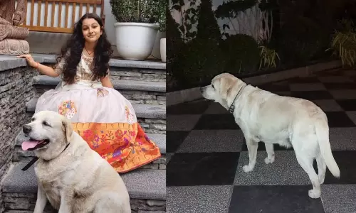 మహేష్ బాబు ఇంట్లో విషాదం.. నమ్రత ఎమోషనల్ పోస్ట్!