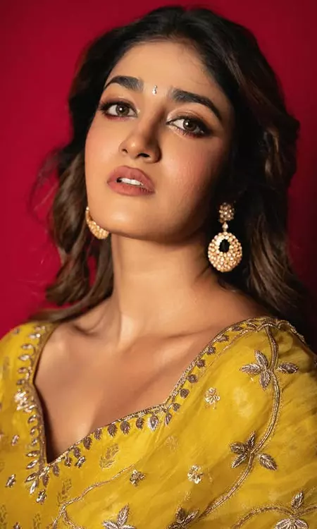 Dimple Hayathi Golden Glow in Yellow Saree