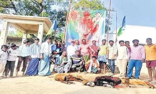 వామ్మో.. ఇదేం అభిమానం? పుట్టిన రోజున పొట్టేలు రక్తంతో జగన్ ఫోటోకు అభిషేకం