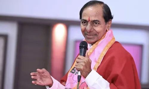 గులాబీ సారూ ఏం చేస్తారూ ?