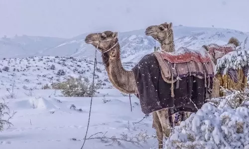 హాట్ టాపిక్: ఏడారి దేశంలో మంచు.. కియామత్ కు సంకేతాలా?