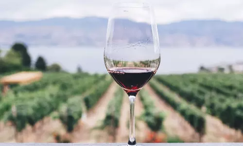 రష్యన్ వైన్.. భారత్ లో ఇప్పుడు ట్రెండింగ్