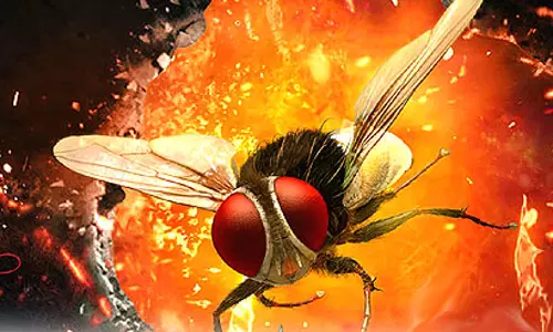 `ఈగ‌`తో బ్ర‌హ్మాస్త్రం.. రాజమౌళి ప్లాన్ ఇదేనా?