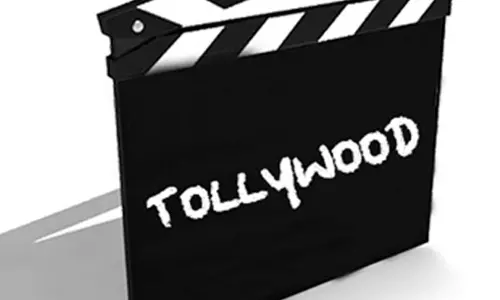 2025 టాలీవుడ్‌కు మిక్స్డ్ ఇయ‌రే!