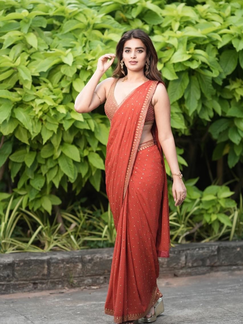 Nidhhi Agerwal Radiates Elegance in Every Frame