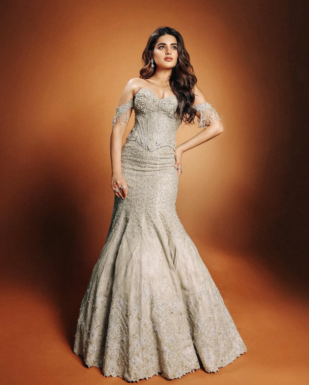 Nidhhi Agerwal Radiates Elegance in Every Frame