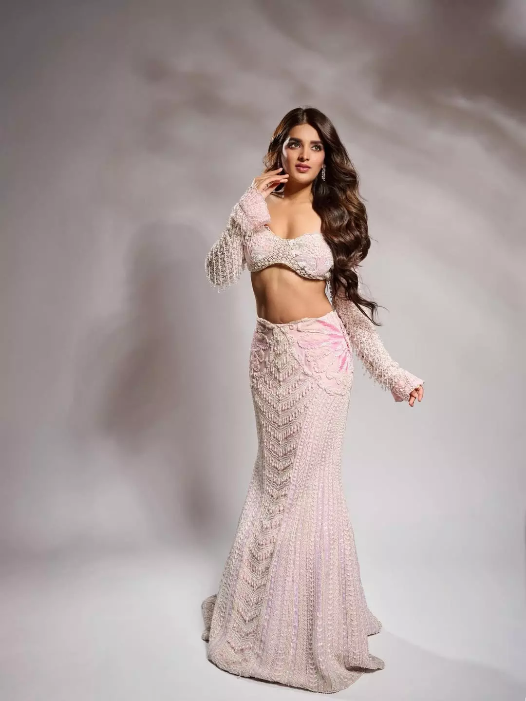 Nidhhi Agerwal Radiates Elegance in Every Frame Nidhhi Agerwal Radiates Elegance in Every Frame