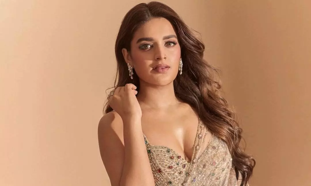 విదేశాల్లో షూటింగ్ అప్పుడు నిధి ఏం చేస్తుందంటే?