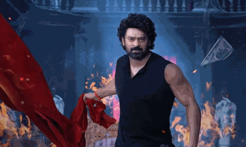 అలా ఇద్ద‌రం క‌లిసి చేసిన జ‌ర్నీనే రాజా సాబ్