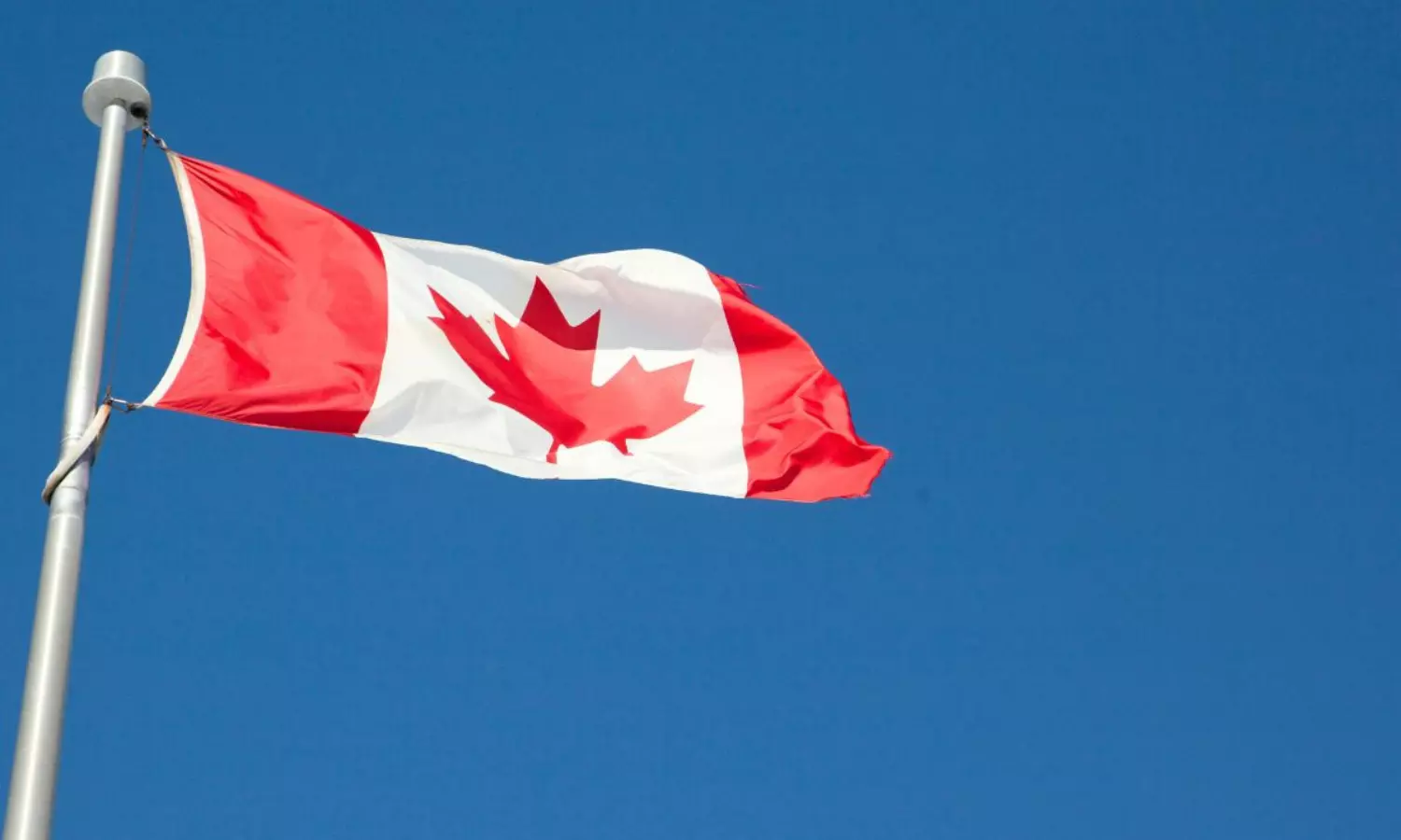 కెనడాలో 19 లక్షల మందికి ‘ఎగ్జిట్’ ముప్పు.. సగం మంది భారతీయులే! కెనడాలో 19 లక్షల మందికి ‘ఎగ్జిట్’ ముప్పు.. సగం మంది భారతీయులే!