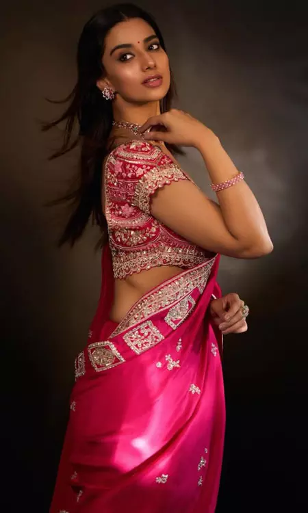 Meenakshi Chaudharys Saree Glam and Exciting 2026 Lineup