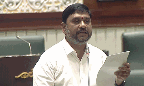 ‘మా ఊరి పేరే శాపమైంది మహాప్రభో’.. అసెంబ్లీలో ఎమ్మెల్యే హృదయవేదన