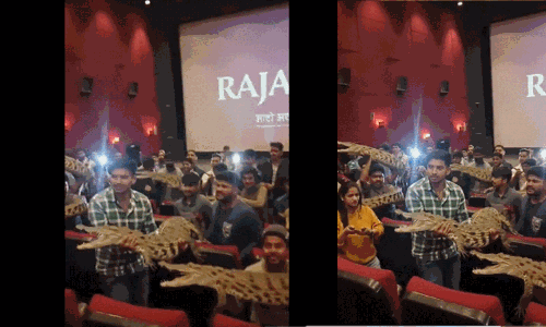 ఎవ‌ర్రా మీరంతా..ఫ్యాన్స్‌..డైహార్డ్ ఫ్యాన్స్‌!