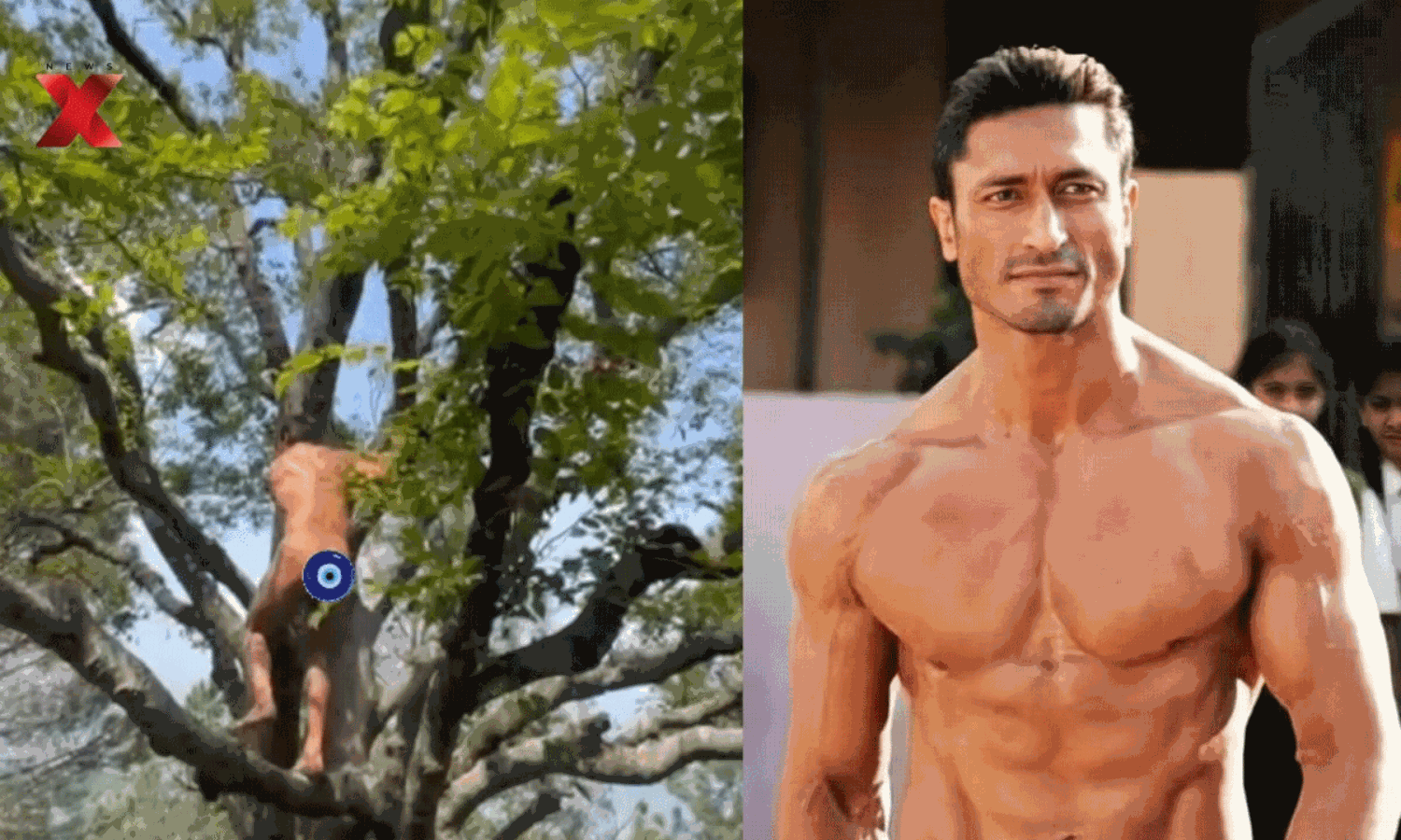 న‌గ్నంగా చెట్టెక్కిన న‌టుడు.. కార‌ణం తెలిస్తే విస్తుపోవాల్సిందే!