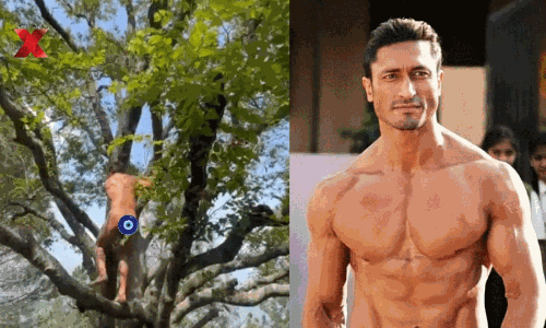 న‌గ్నంగా చెట్టెక్కిన న‌టుడు.. కార‌ణం తెలిస్తే విస్తుపోవాల్సిందే!