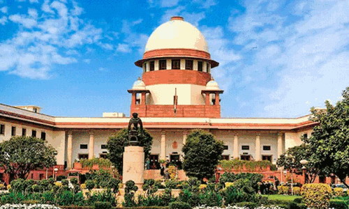 వీధికుక్కల దాడిలో ఎవరైనా మరణిస్తే వారిదే బాధ్యత -సుప్రీం కోర్ట్