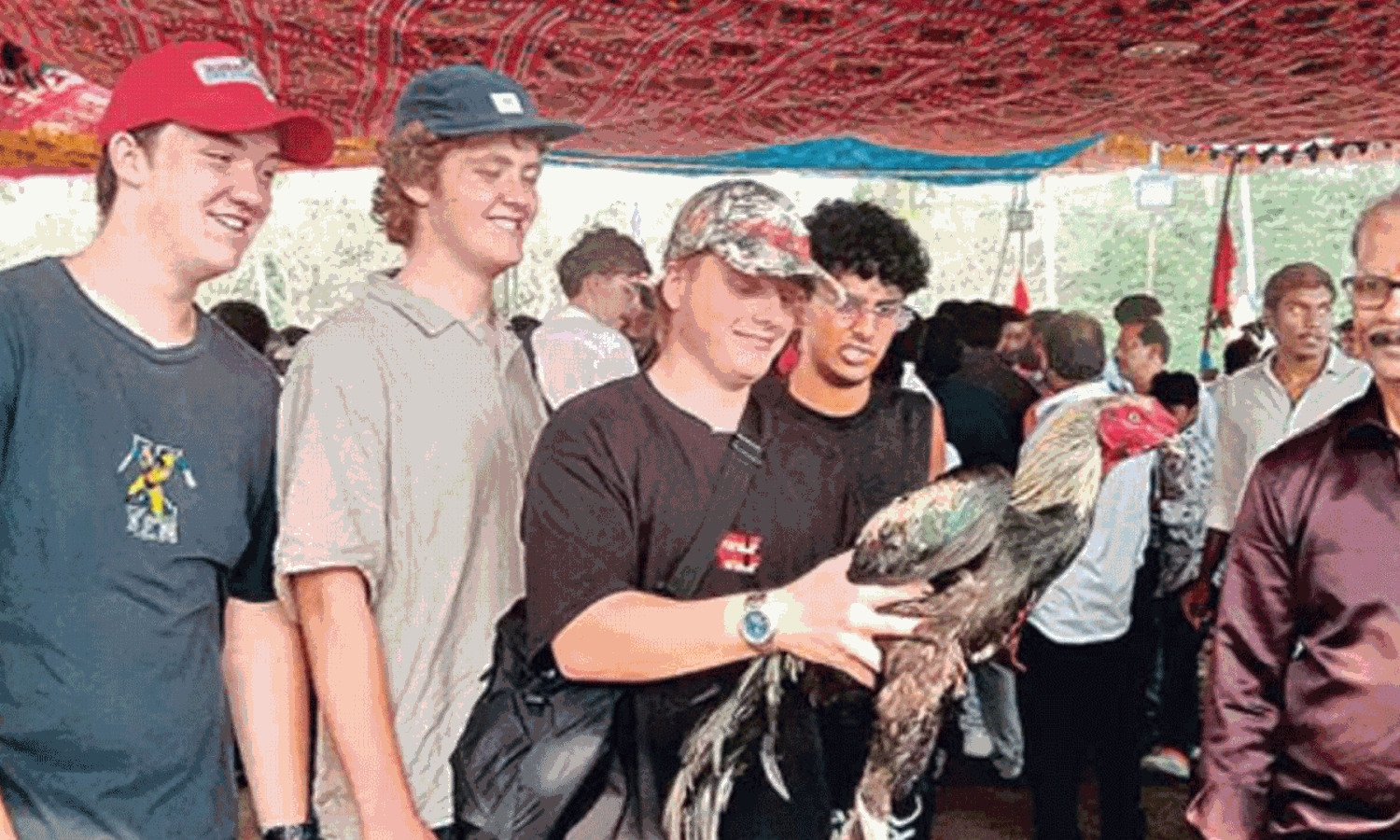 కోడి పందాలలో మహిళలు.. సఖినేటిపల్లిలో ఆస్ట్రేలియన్లు సందడి.. వీడియో వైరల్!