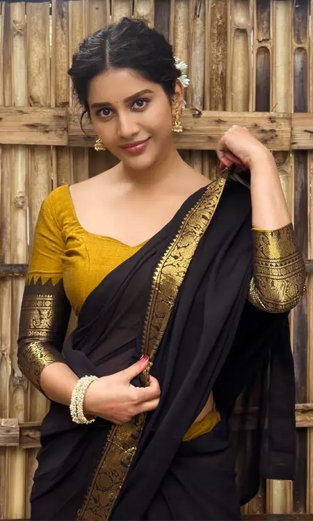 Nabha Natesh Stuns in Classic Black Handloom Saree for Sankranti