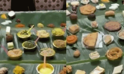 సంక్రాంతి స్పెషల్.. 29 ఏళ్ల అల్లుడి కోసం 290 వంటకాలతో విందు!