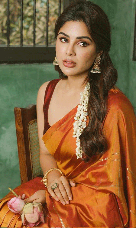 Samyuktha Wins Hearts in Classic Saree