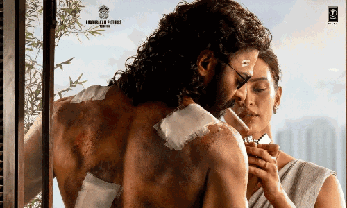 ప్రభాస్‌ యానిమల్‌లా చేస్తే ఒప్పుకుంటారా?