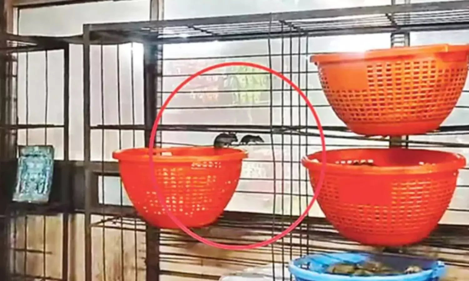 సత్యదేవుడి ప్రసాద విక్రయ కేంద్రంలో అపచారం.. ప్రభుత్వం సీరియస్ సత్యదేవుడి ప్రసాద విక్రయ కేంద్రంలో అపచారం.. ప్రభుత్వం సీరియస్