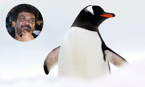 పూరి చెప్పిన పెంగ్విన్ క‌థ నిజ‌మే