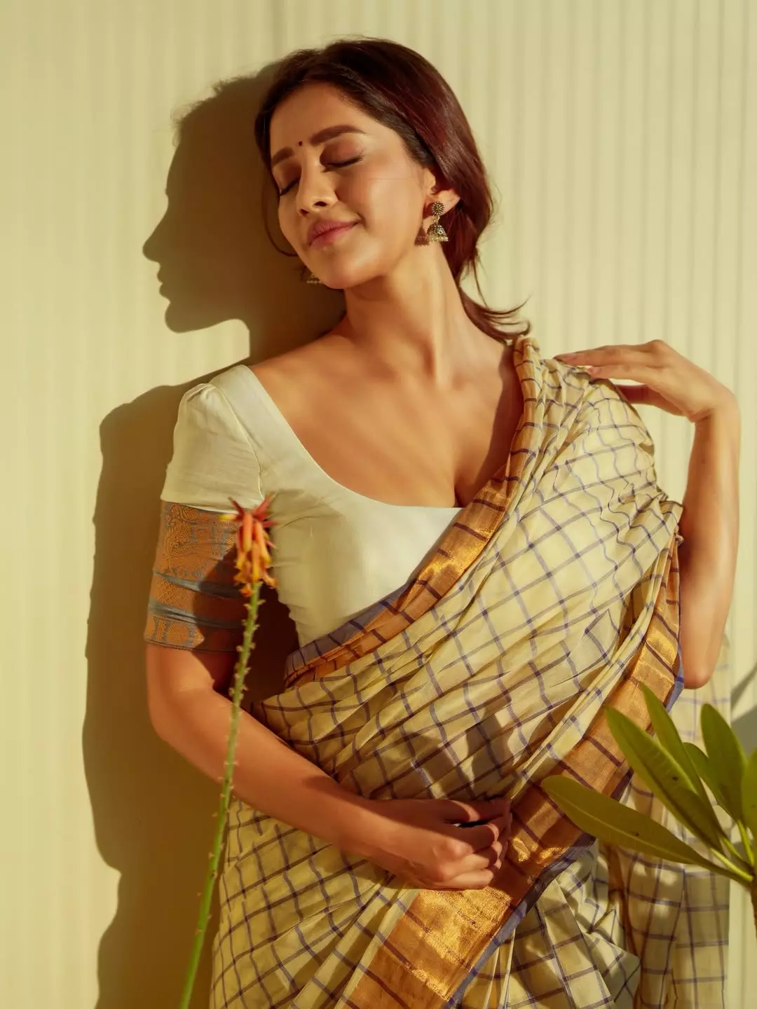 Nabha Natesh Makes You Pause and Stare with Her Saree Photos Nabha Natesh Makes You Pause and Stare with Her Saree Photos