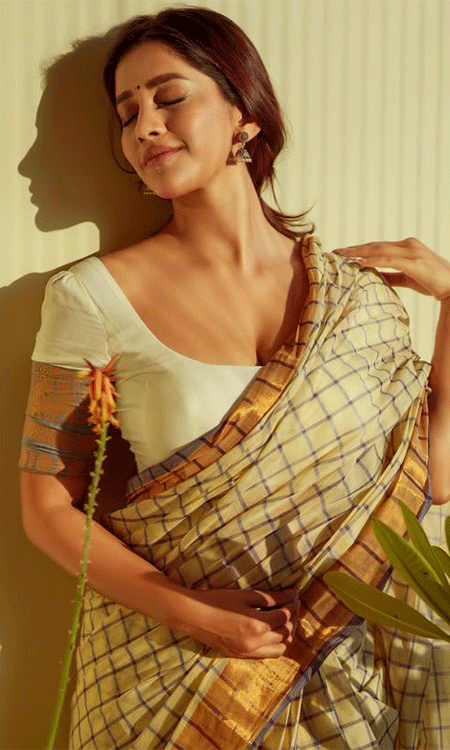 Nabha Natesh Makes You Pause and Stare with Her Saree Photos