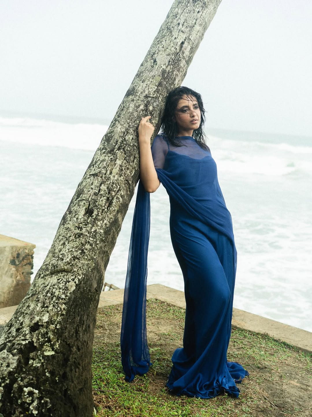 Priyanka Mohan’s Cinematic & Fashion Evolution Priyanka Mohan’s Cinematic & Fashion Evolution