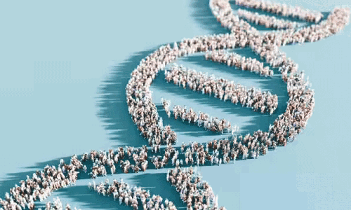 మనిషి ఎంతకాలం బతకాలో నిర్ణయించేవి అవేనట !