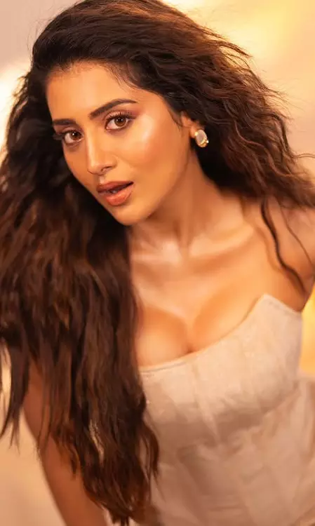 Rashi Singh: Tollywood’s New Sensation