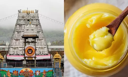 ఆ నెయ్యిలో జంతుకొవ్వు.. కొత్త వాదన విన్నారా?