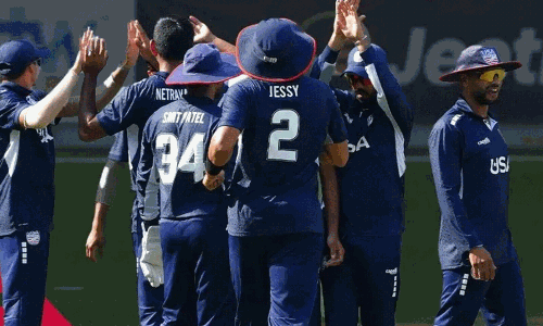 టీ20 యూఎస్ జట్టు.. మెజార్టీ సభ్యులు మనోళ్లే