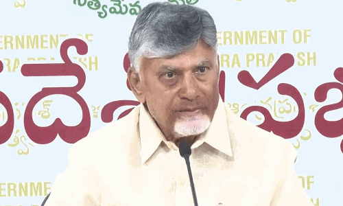 జాతీయ రాజకీయాల్లోకి బాబు... ఇంట్రెస్ట్ ఉందా లేదా ?
