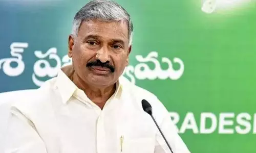వైసీపీకి అసెంబ్లీలో పెద్దిరెడ్డి సారధ్యం ?
