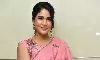Sathi Leelavathi’ Is a Complete Family Entertainer, Says Lavanya Tripathi Konidela
