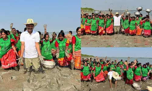 Green Tribute On KCRs 72nd Birthday