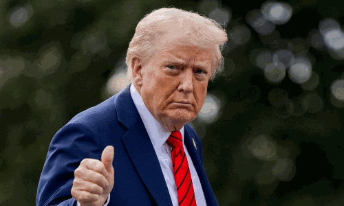 How Many Visas Trump Revoked In 1 Year?