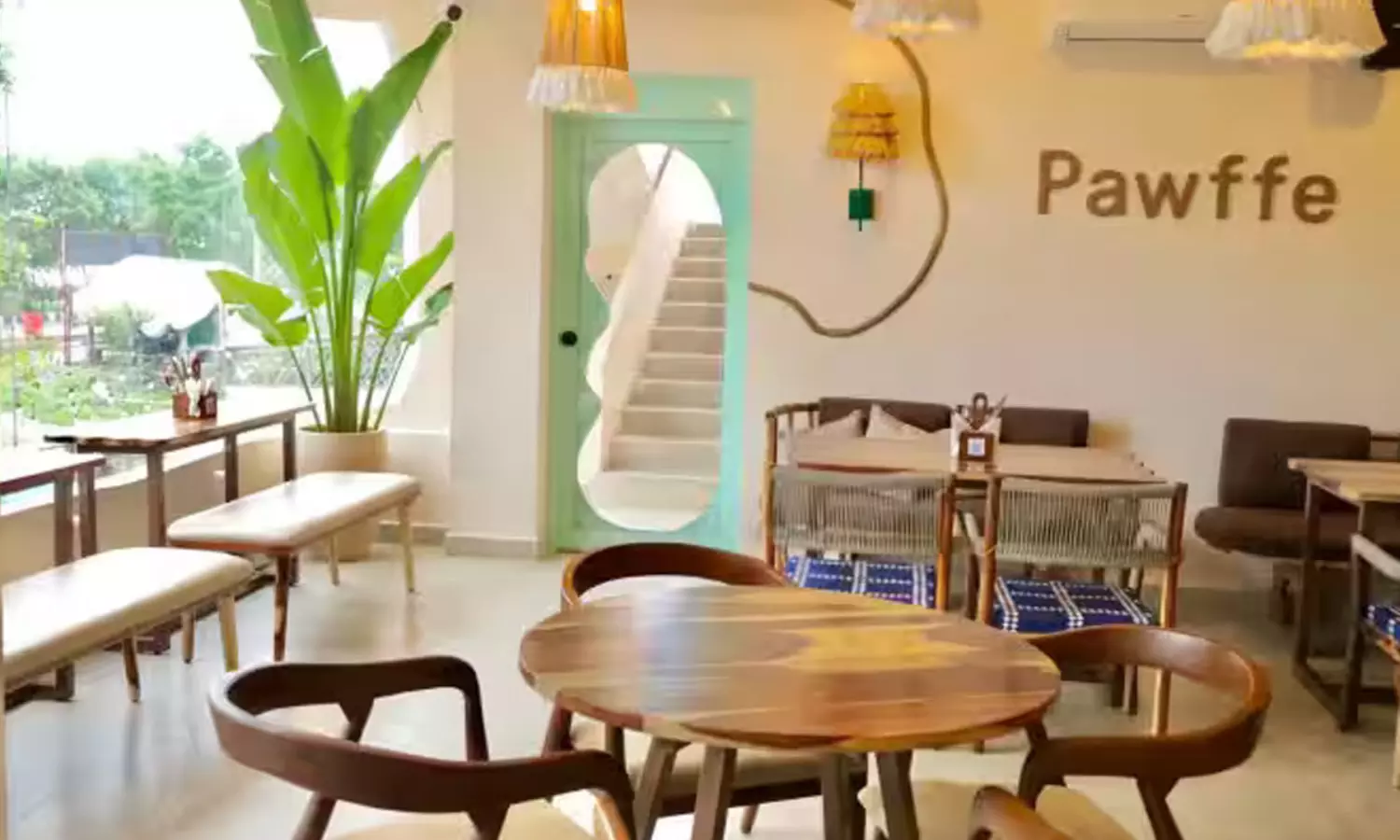 విశాఖలో ఈ రెస్టారెంట్ తెలిస్తే.. పెట్ లవ్వర్స్ వావ్ అనేస్తారు విశాఖలో ఈ రెస్టారెంట్ తెలిస్తే.. పెట్ లవ్వర్స్ వావ్ అనేస్తారు