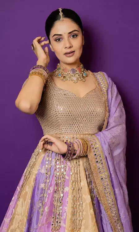 Sreemukhi Dazzles Fans With Regal Outfit