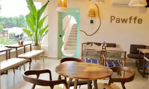 విశాఖలో ఈ రెస్టారెంట్ తెలిస్తే.. పెట్ లవ్వర్స్ వావ్ అనేస్తారు