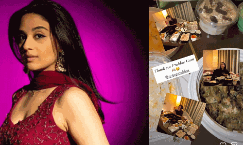 ఇమాన్వీకి డార్లింగ్ మరో ట్రీట్.. వామ్మో అన్ని రకాలా?