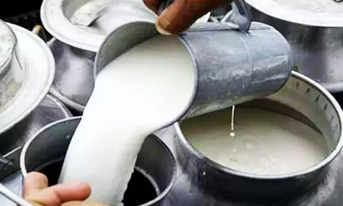 పాల రూపంలో మృత్యువు.. రాజమహేంద్రవరంలో కల్తీ కలకలం.. పెరుగుతున్న మృతులు